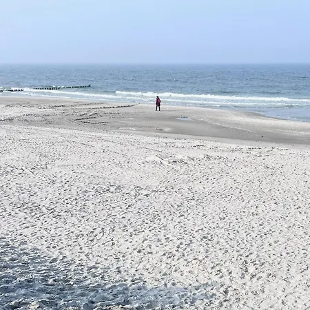 Koje Boddenbrise 징스트